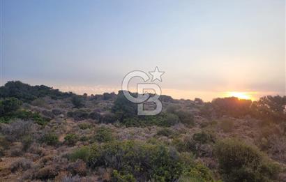 Karaburun Tepeboz da Satılık Full Deniz Manzaralı Tarla