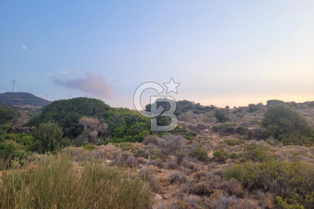 Karaburun Tepeboz da Satılık Full Deniz Manzaralı Tarla
