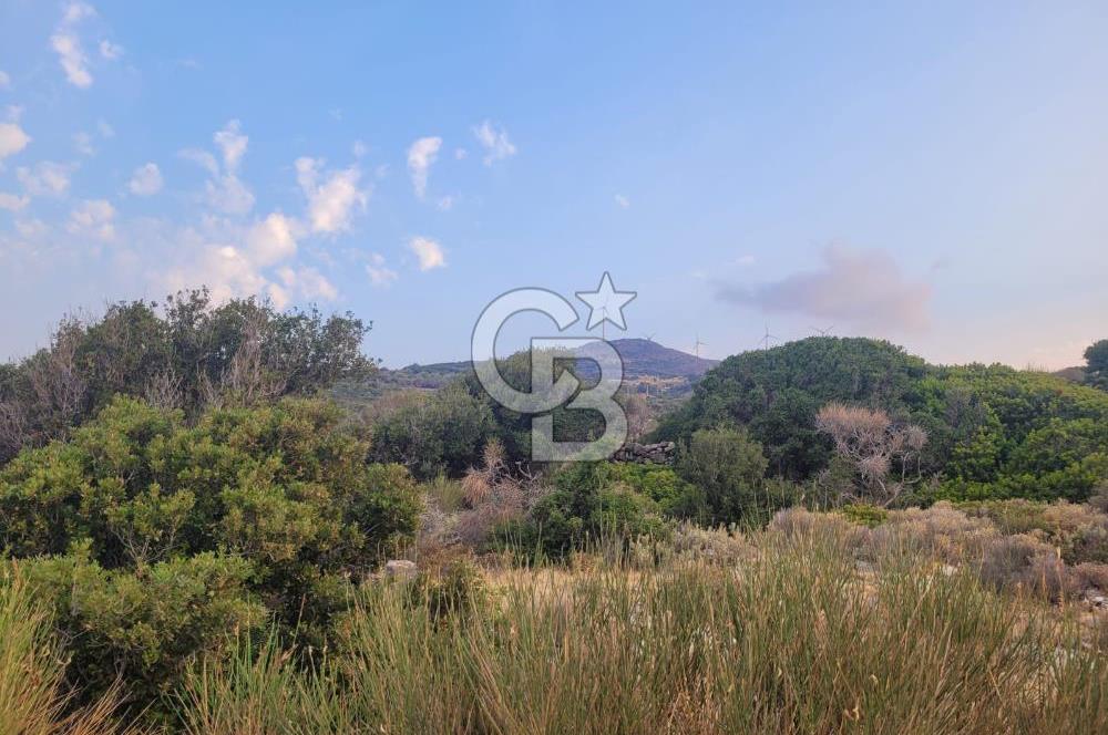 Karaburun Tepeboz da Satılık Full Deniz Manzaralı Tarla