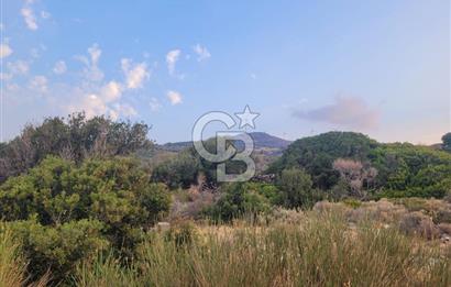 Karaburun Tepeboz da Satılık Full Deniz Manzaralı Tarla