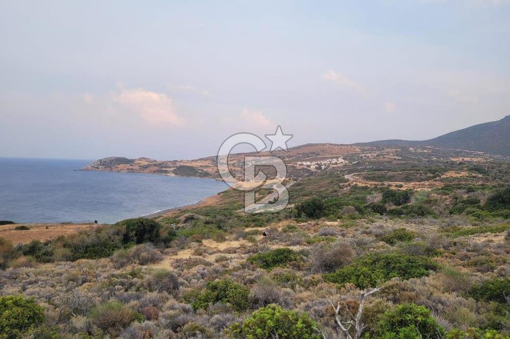 Karaburun Tepeboz da Satılık Full Deniz Manzaralı Tarla