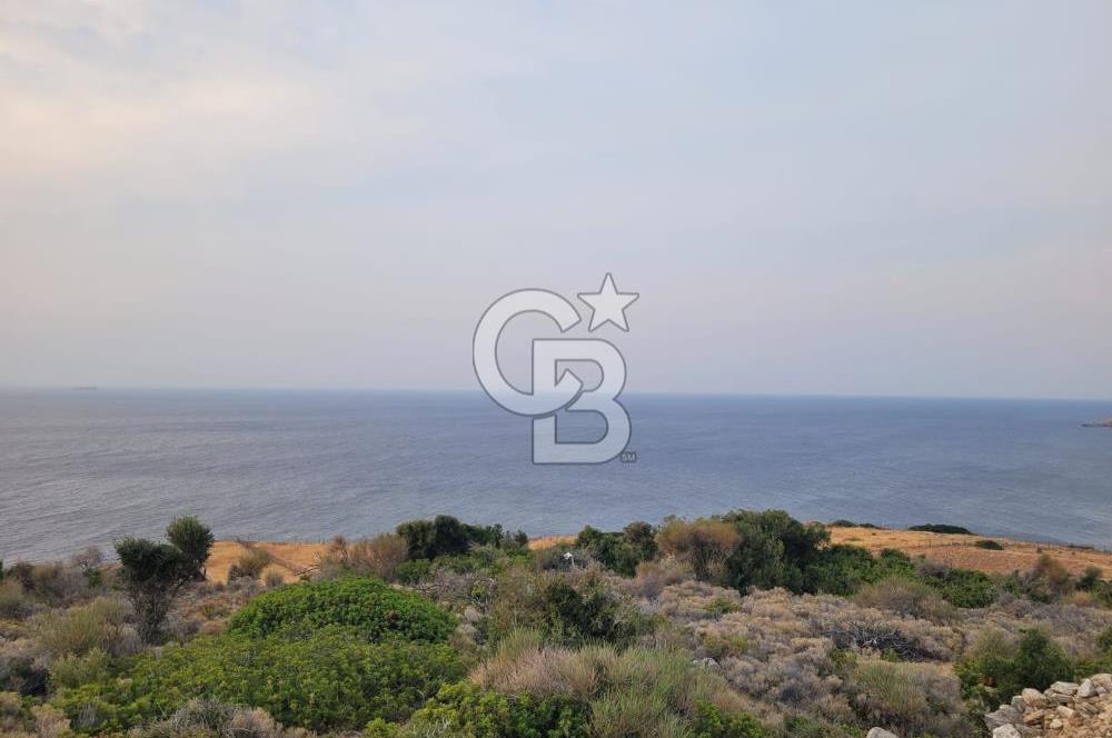 Karaburun Tepeboz da Satılık Full Deniz Manzaralı Tarla