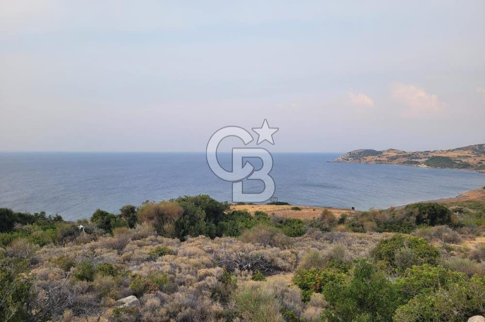 Karaburun Tepeboz da Satılık Full Deniz Manzaralı Tarla