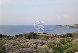 Karaburun Tepeboz da Satılık Full Deniz Manzaralı Tarla