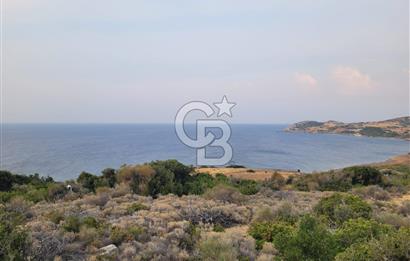 Karaburun Tepeboz da Satılık Full Deniz Manzaralı Tarla