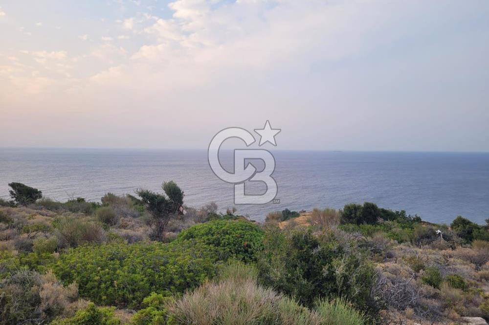 Karaburun Tepeboz da Satılık Full Deniz Manzaralı Tarla