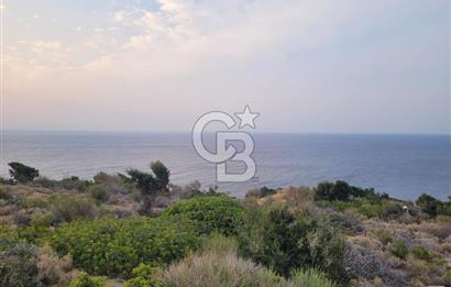 Karaburun Tepeboz da Satılık Full Deniz Manzaralı Tarla