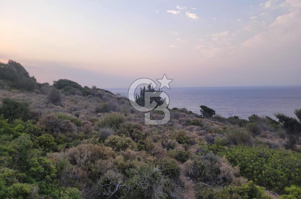 Karaburun Tepeboz da Satılık Full Deniz Manzaralı Tarla