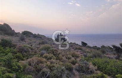 Karaburun Tepeboz da Satılık Full Deniz Manzaralı Tarla