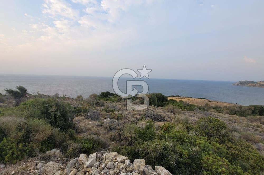 Karaburun Tepeboz da Satılık Full Deniz Manzaralı Tarla