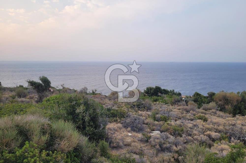 Karaburun Tepeboz da Satılık Full Deniz Manzaralı Tarla