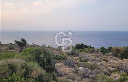Karaburun Tepeboz da Satılık Full Deniz Manzaralı Tarla