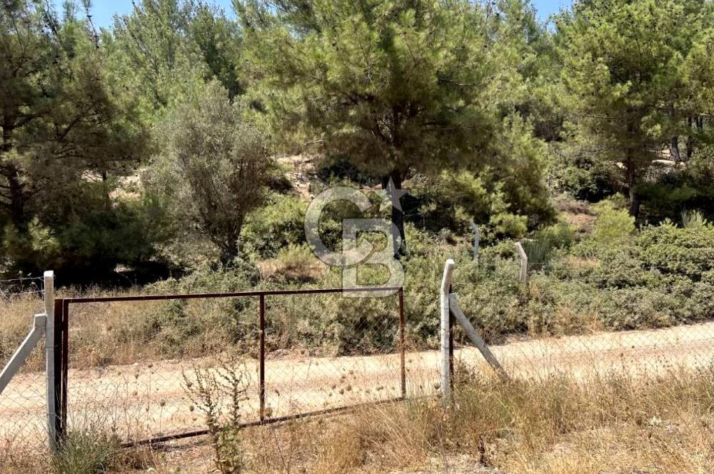 URLA KUŞÇULAR'DA 13.400 M2 YOLA CEPHELİ SATILIK TARLA