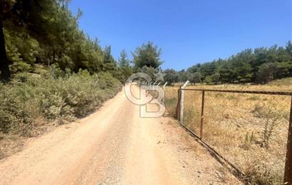 URLA KUŞÇULAR'DA 13.400 M2 YOLA CEPHELİ SATILIK TARLA