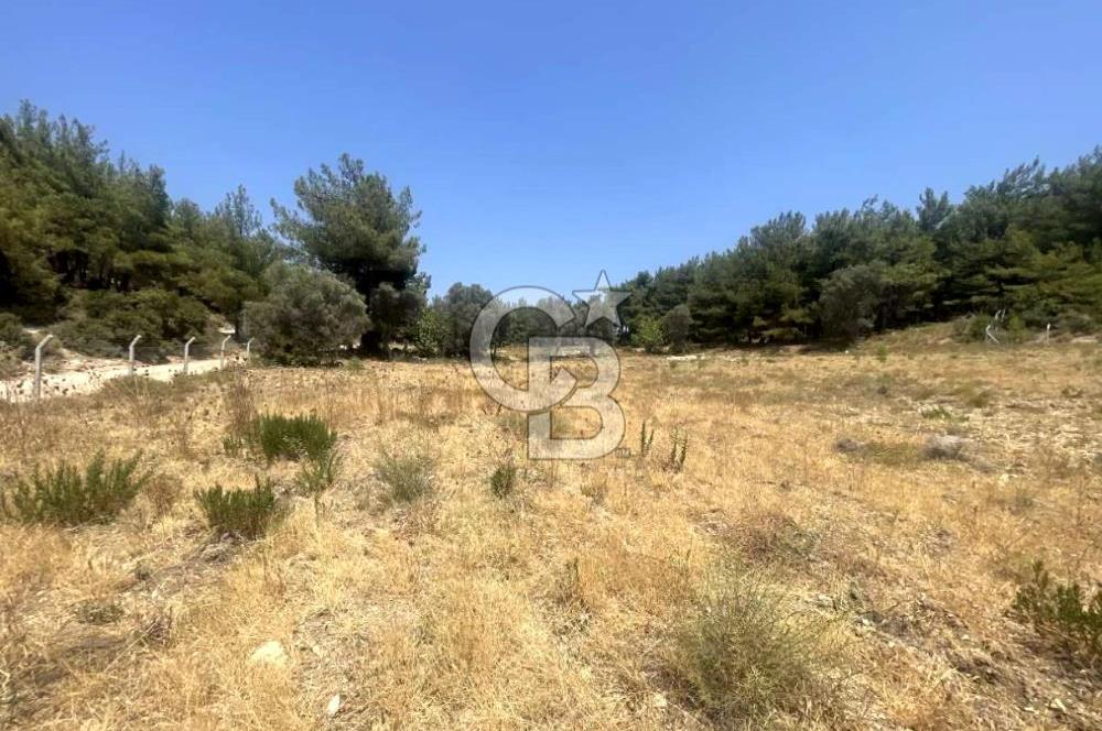 URLA KUŞÇULAR'DA 13.400 M2 YOLA CEPHELİ SATILIK TARLA