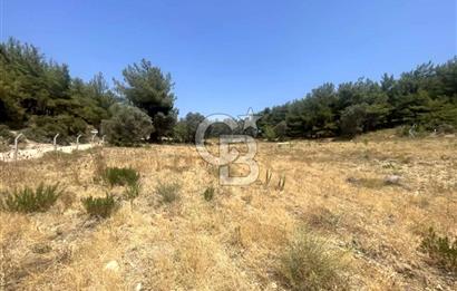 URLA KUŞÇULAR'DA 13.400 M2 YOLA CEPHELİ SATILIK TARLA