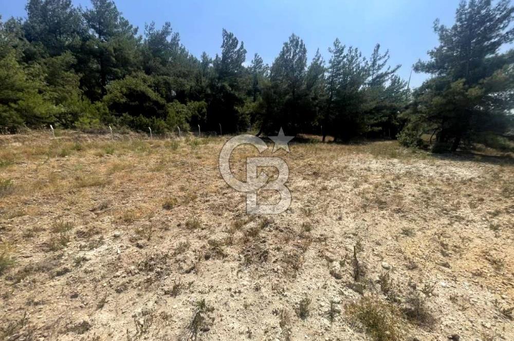 URLA KUŞÇULAR'DA 13.400 M2 YOLA CEPHELİ SATILIK TARLA