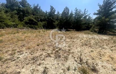 URLA KUŞÇULAR'DA 13.400 M2 YOLA CEPHELİ SATILIK TARLA