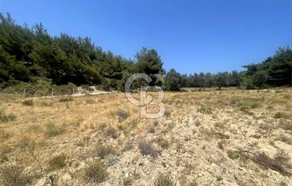URLA KUŞÇULAR'DA 13.400 M2 YOLA CEPHELİ SATILIK TARLA