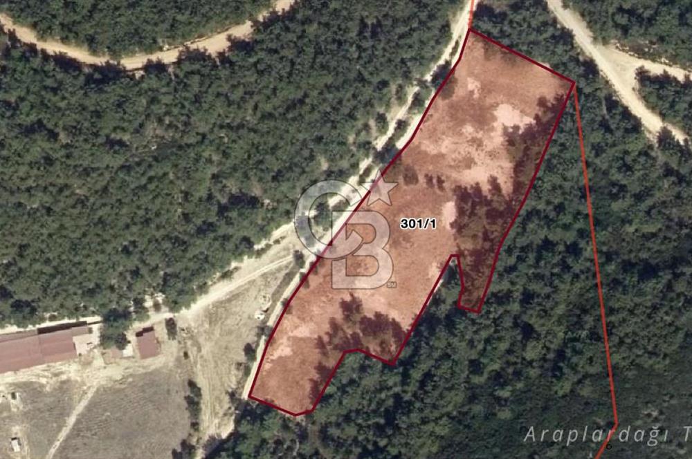 URLA KUŞÇULAR'DA 13.400 M2 YOLA CEPHELİ SATILIK TARLA