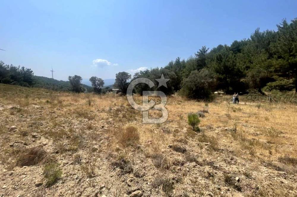 URLA KUŞÇULAR'DA 13.400 M2 YOLA CEPHELİ SATILIK TARLA