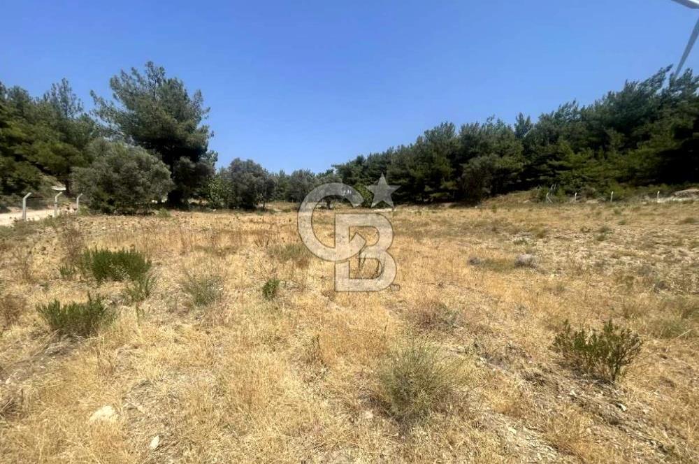 URLA KUŞÇULAR'DA 13.400 M2 YOLA CEPHELİ SATILIK TARLA
