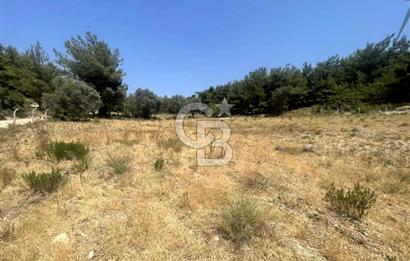 URLA KUŞÇULAR'DA 13.400 M2 YOLA CEPHELİ SATILIK TARLA