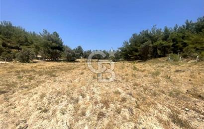 URLA KUŞÇULAR'DA 13.400 M2 YOLA CEPHELİ SATILIK TARLA