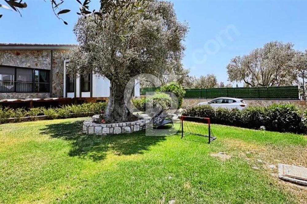  URLA BADEMLER 1000 m2 SATILIK MÜSTAKİL ŞÖMİNELİ 5+2 TAŞ VİLLA