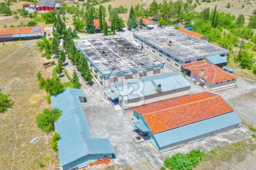CB ENVOY'dan Çorum Kargı'da 63 Dönüm İçerisinde Satılık Fabrika