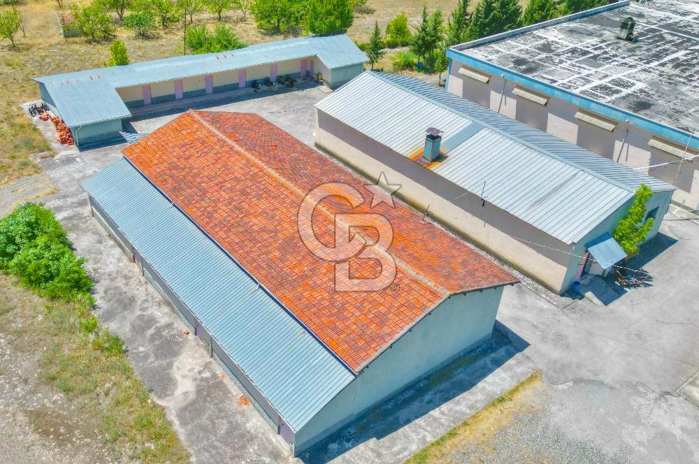 CB ENVOY'dan Çorum Kargı'da 63 Dönüm İçerisinde Satılık Fabrika