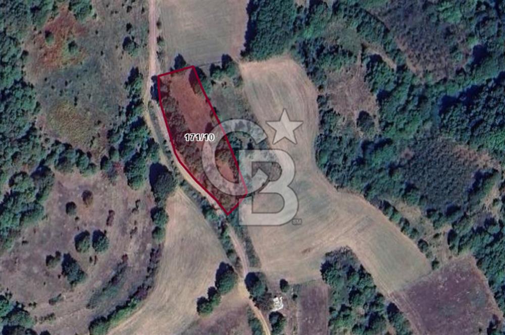İZMİT AMBARCI KÖYÜNDE SATILIK 2.733 M2 TARLA