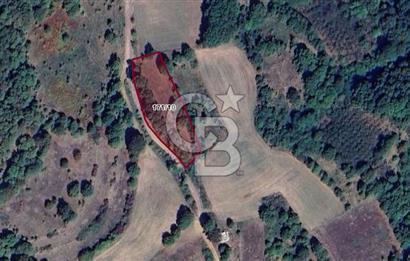 İZMİT AMBARCI KÖYÜNDE SATILIK 2.733 M2 TARLA