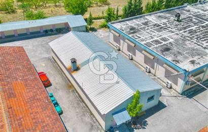 CB ENVOY'dan Çorum Kargı'da 63 Dönüm İçerisinde Satılık Fabrika