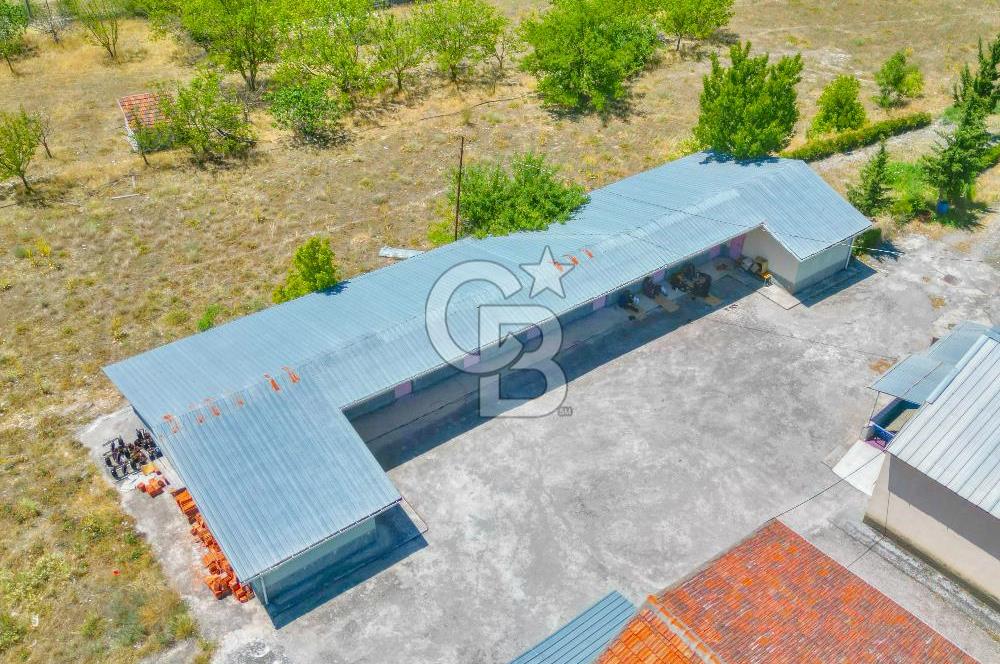 CB ENVOY'dan Çorum Kargı'da 63 Dönüm İçerisinde Satılık Fabrika