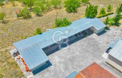 CB ENVOY'dan Çorum Kargı'da 63 Dönüm İçerisinde Satılık Fabrika