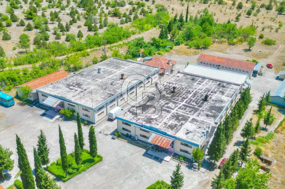 CB ENVOY'dan Çorum Kargı'da 63 Dönüm İçerisinde Satılık Fabrika