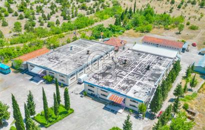 CB ENVOY'dan Çorum Kargı'da 63 Dönüm İçerisinde Satılık Fabrika