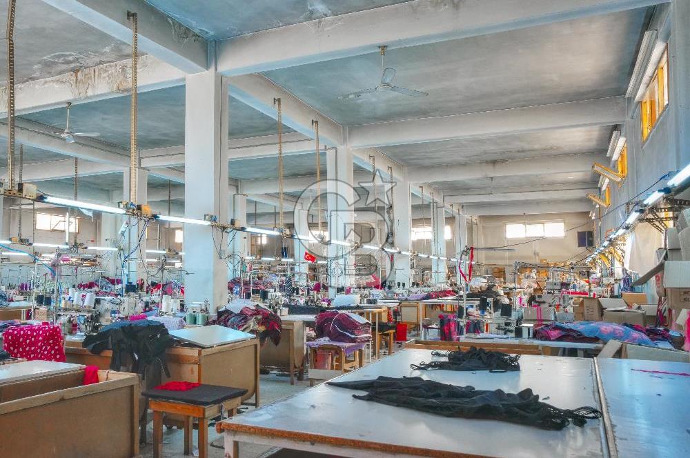 CB ENVOY'dan Çorum Kargı'da 63 Dönüm İçerisinde Satılık Fabrika