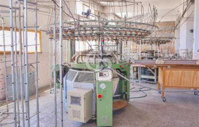 CB ENVOY'dan Çorum Kargı'da 63 Dönüm İçerisinde Satılık Fabrika