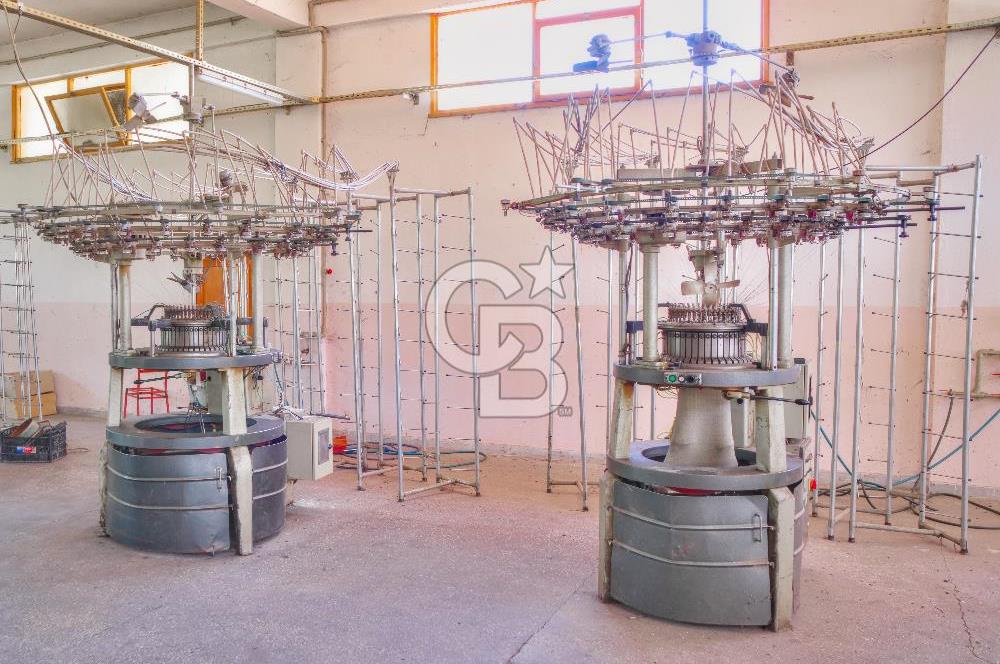 CB ENVOY'dan Çorum Kargı'da 63 Dönüm İçerisinde Satılık Fabrika
