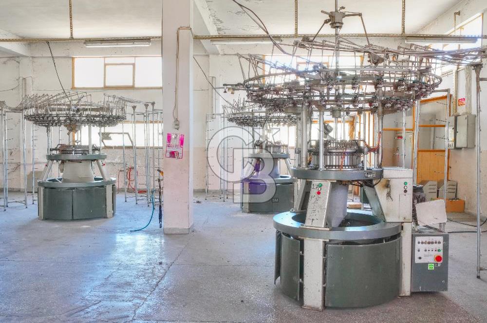 CB ENVOY'dan Çorum Kargı'da 63 Dönüm İçerisinde Satılık Fabrika