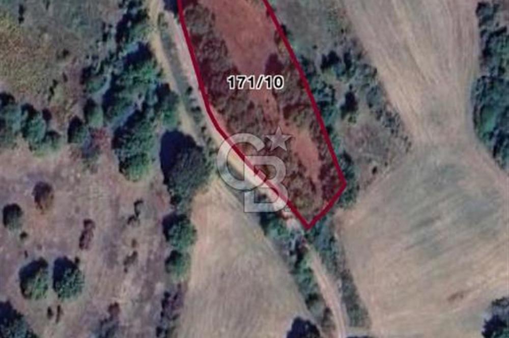 İZMİT AMBARCI KÖYÜNDE SATILIK 2.733 M2 TARLA