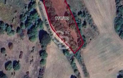 İZMİT AMBARCI KÖYÜNDE SATILIK 2.733 M2 TARLA