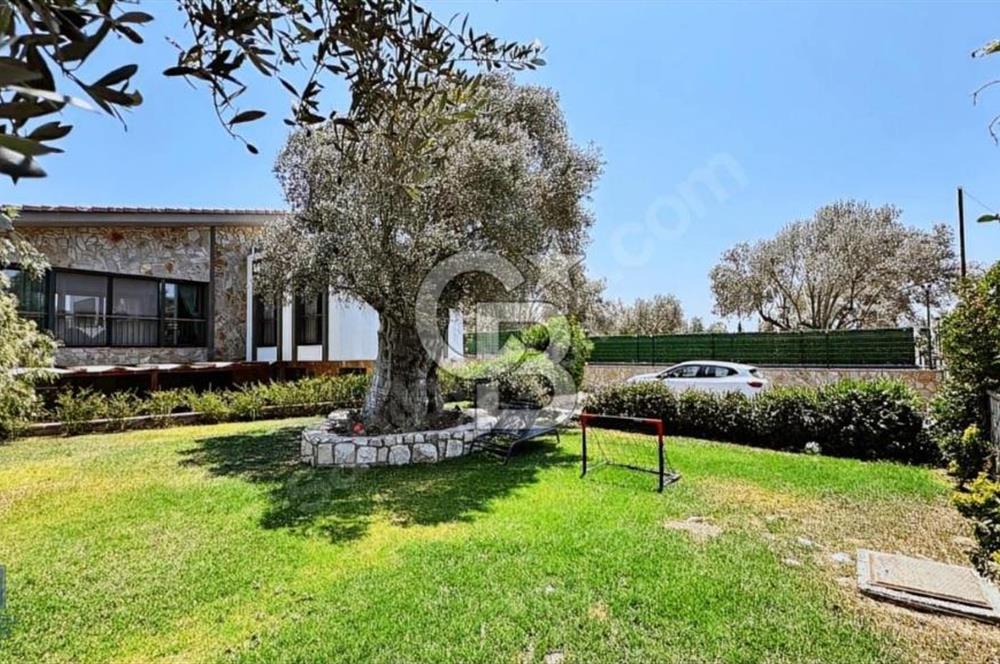  URLA BADEMLER 1000 m2 SATILIK MÜSTAKİL ŞÖMİNELİ 5+2 TAŞ VİLLA
