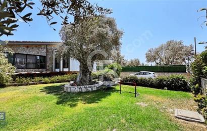  URLA BADEMLER 1000 m2 SATILIK MÜSTAKİL ŞÖMİNELİ 5+2 TAŞ VİLLA