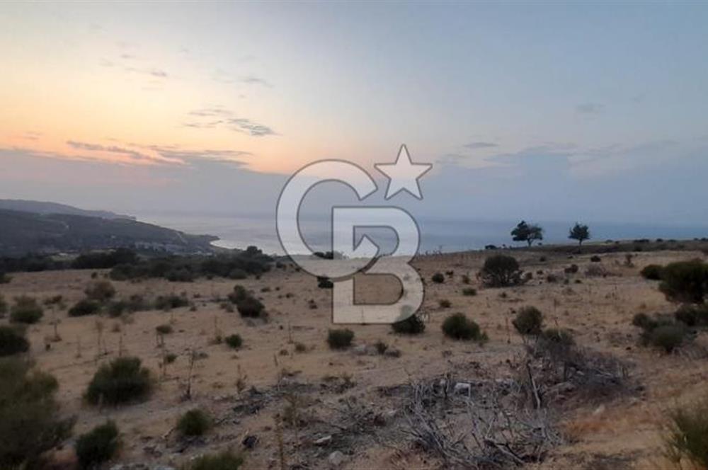 Karaburun Bozköy de Satılık Deniz Manzaralı Tarla