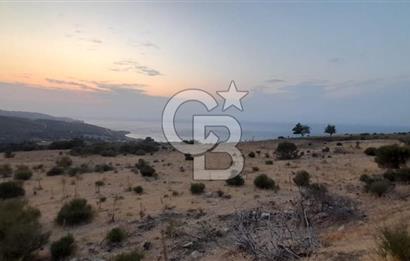 Karaburun Bozköy de Satılık Deniz Manzaralı Tarla