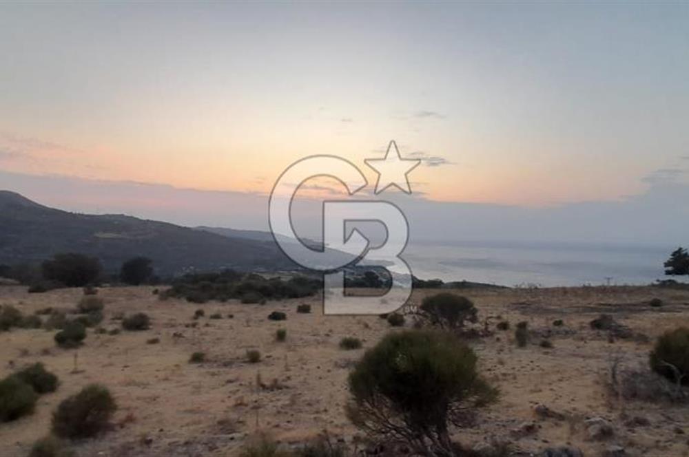 Karaburun Bozköy de Satılık Deniz Manzaralı Tarla