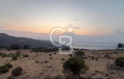 Karaburun Bozköy de Satılık Deniz Manzaralı Tarla